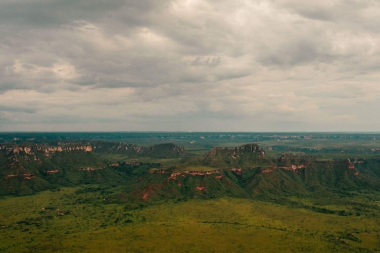 Vista aérea do cerrado tocantinense, região atendida pela Suno Solar.